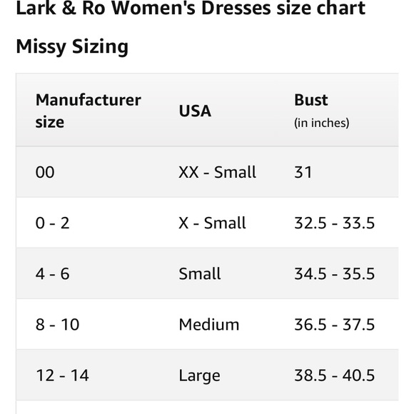 Lark & Ro NWT sleeveless snap front shift dress - Picture 4 of 8